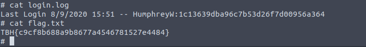 content of login.log and flag.txt